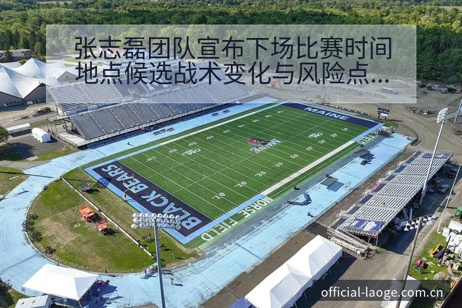 张志磊团队宣布下场比赛时间地点候选战术变化与风险点分析 - 老哥网